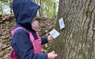 VS Pinkafeld, Beitrag 1b, Waldtag