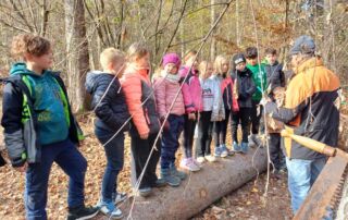 VS Pinkafeld, Beitrag 3c, Waldtag im Herbst