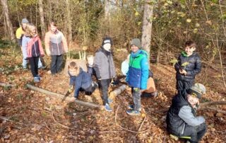 VS Pinkafeld, Beitrag 3c, Waldtag im Herbst