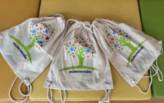 VS Pinkafeld, Beitrag Allgemein, Abschluss Transition