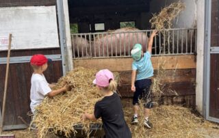 VS Pinkafeld, Beitrag 1a und 1b, Bauernhof