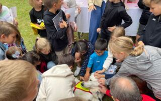 VS Pinkafeld, Allgemein, Tag der Sicherheit