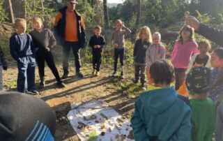 VS Pinkafeld, 3b, Waldtag