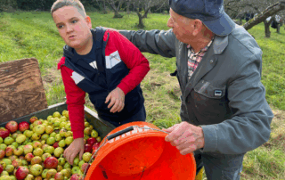 VS Pinkafeld, Beitrag FÖK, Apfelernte