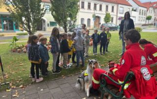 VS Pinkafeld, Beitrag 1c, Tag der Sicherheit