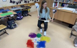 VS Pinkafeld, 3b, Projekt Löwenmut