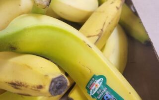 VS Pinkafeld, Beitrag 1.FÖK, faire Bananen