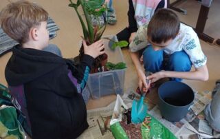 VS Pinkafeld, Beitrag 2. FÖK, Frühling