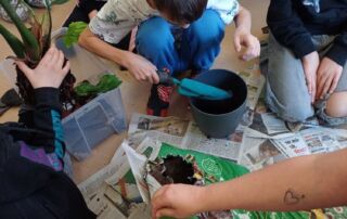 VS Pinkafeld, Beitrag 2. FÖK, Frühling