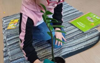 VS Pinkafeld, Beitrag 2. FÖK, Frühling