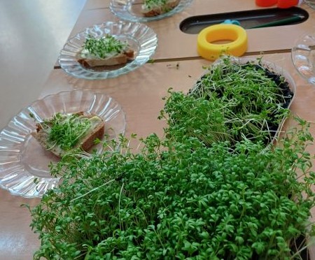 VS Pinkafeld, Beitrag 2. FÖK, Frühling