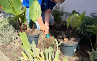 VS Pinkafeld, Beitrag 6. FÖK, Blumen setzen