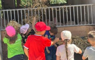 VS Pinkafeld, Beitrag 1b, Rund um das erste Schuljahr in der 1b