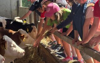 VS Pinkafeld, Beitrag 1a und 1b, Besuch am Bauernhof