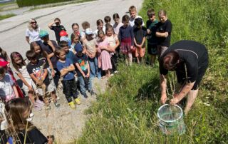 VS Pinkafeld, Beitrag 2b und 3b, Schmetterlingsprojekt